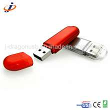 Custom Multicolor Plastic Secure USB Flash Disk (JP495)